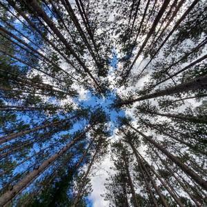 Meet your Posher, Nataly